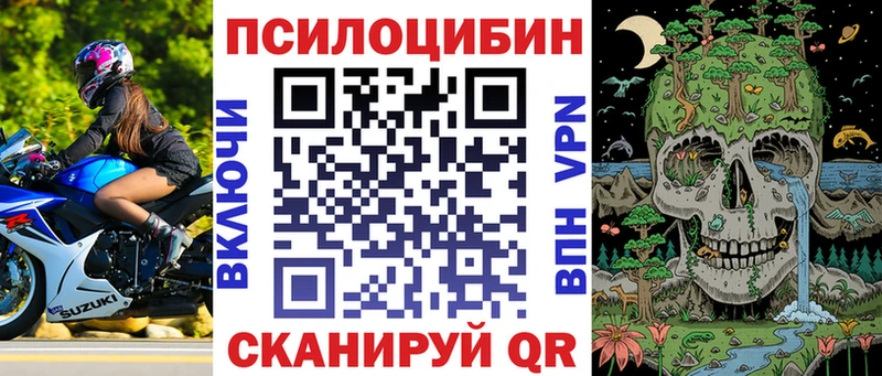 Галлюциногенные грибы GOLDEN TEACHER Дно