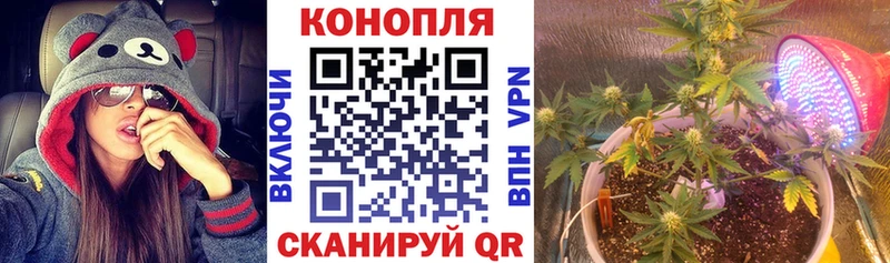 дарк нет телеграм  Дно  Марихуана LSD WEED 